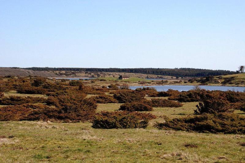 Hedelandets Camping Sevel Dış mekan fotoğraf